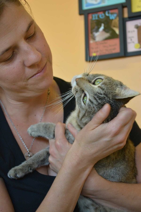 Sarah Swanty, co-founder and executive director of the Fort Collins Cat Rescue, cuddles with Nanna, a six-year-old cat at the rescue. Nanna, is one of about 1,700 cats that enters the shelter each year. (Photo Credit: Megan Fischer)