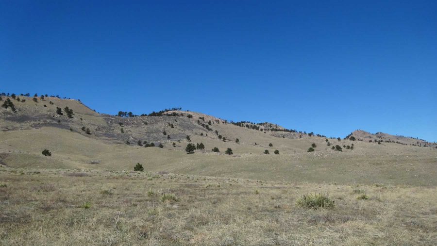 A hiking trail in Boulder, CO which is close to Arapahoe and Roosevelt National Forests, which are regulated by the United States Forest Service and could be impacted by the Forest Service's new proposal. (Photo Credit: Megan Fischer)