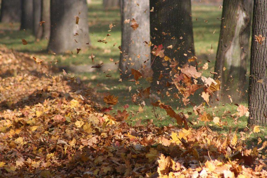 The dawn of cuffing season at Colorado State