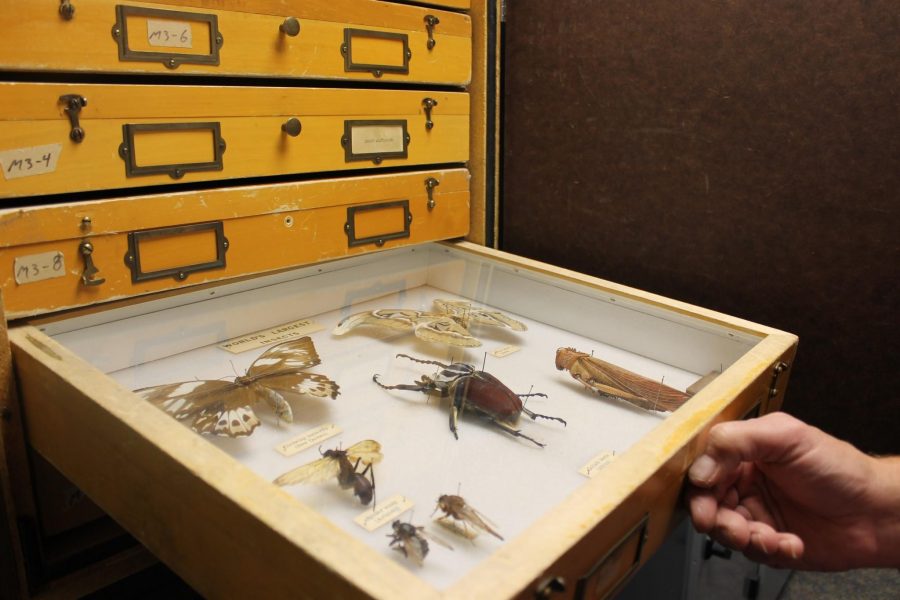 The C.P. Gillette museum provides outreach programs to the community three or four times a month. Some of the specimens are used for these programs. 