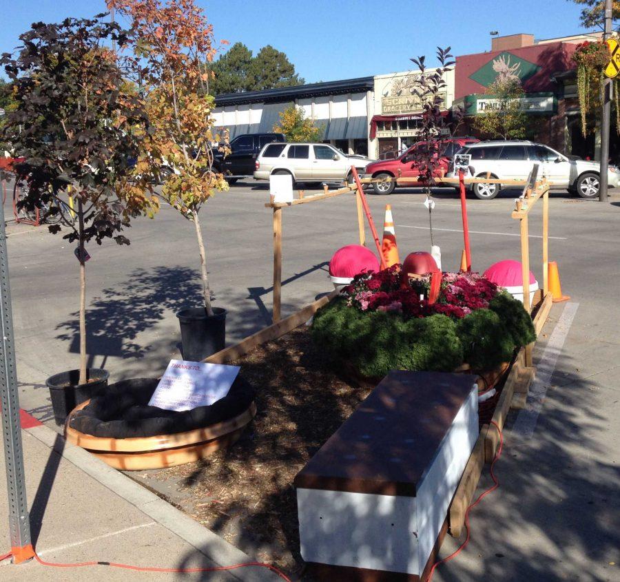 Colorado State student promotes Park(ing) Day, despite insurance problems