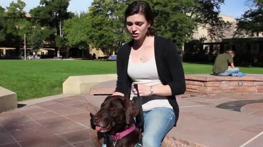 Service and assistance animals at CSU provide a helping paw to those who are in need of support.