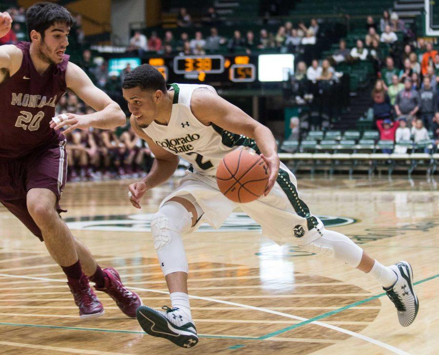 CSU men's hoops team rolls to 83-66 win over Montana in season opener
