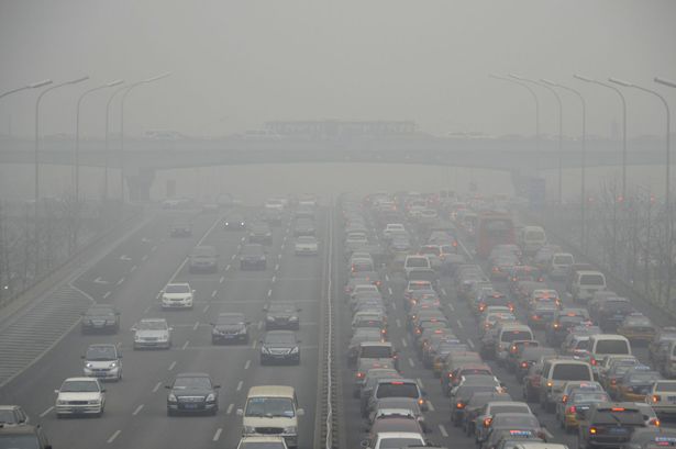 Our View: Fixing the environment is everyone's responsibility