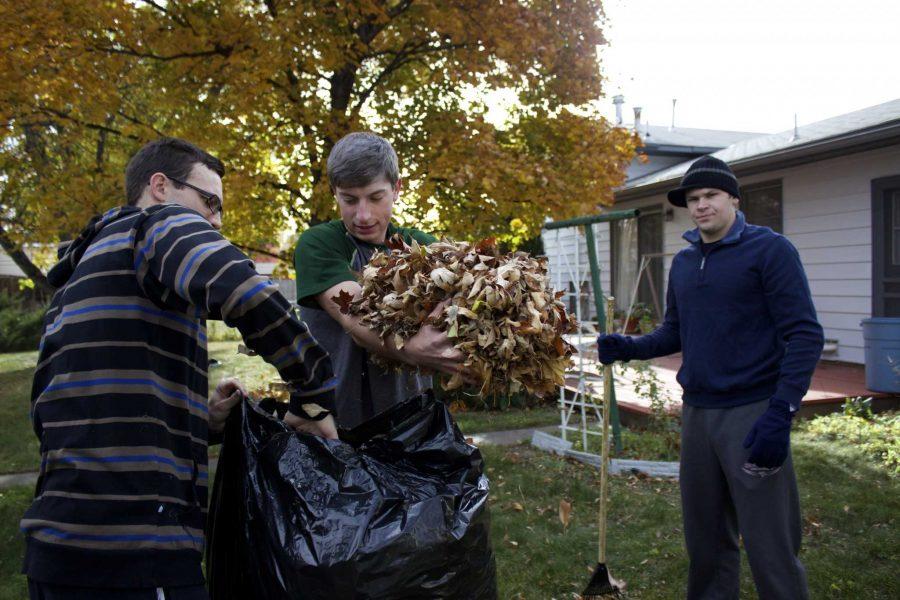 Nick Gorman, junior liberal arts major, throws leaves into a trash bag during Fall Clean-Up in 2014. 