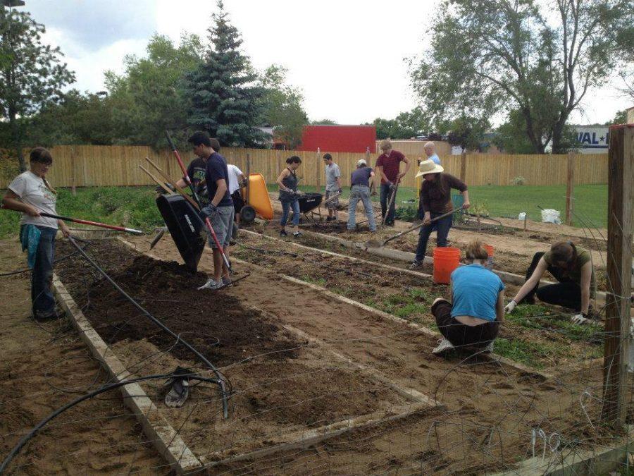 Youth working in one of The growing Project’s Urban Food Outreach gardens. (Photo courtesy of Family Outreach) 