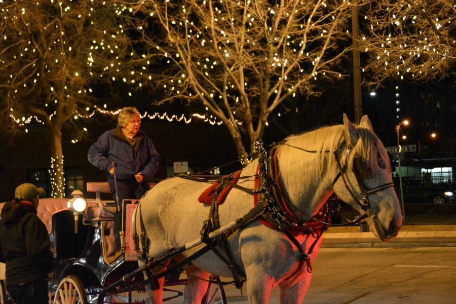 A horse drawn carriage and its driver sit ready for people to take a ride Friday night in Old Town, Fort Collins. Lights line the streets of Fort Collins in the winter, but the horse-drawn carriage rides are offered in Fort Collins all year. (Photo Credit: Megan Fischer)