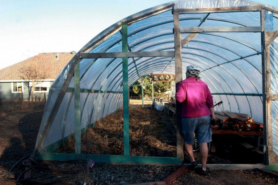 Maureen Scott leans on an empty greenhouse on the Shire Gardens property, which is one of several community gardens affiliated with the Growing Project. Over the summer, Scott’s son, Julian, played music on the property for a volunteer appreciation event. 