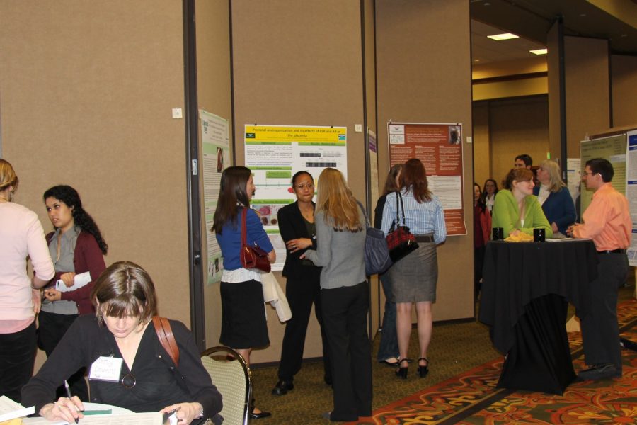 CSU researchers present posters at the annual CVMBS Research Day. (Photo credit: Rachel Griess)