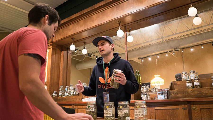 Junior communication studies major and budtender, Brendon T. Greney displays several jars of marijuana while explaining strain differences to a curious customer at Organic Alternatives, located at 346 E. Mountain Ave. Beginning Friday, Organic Alternatives will be open until 8 p.m. as a result of the new ordinance. (Photo credit: Zane Watson)