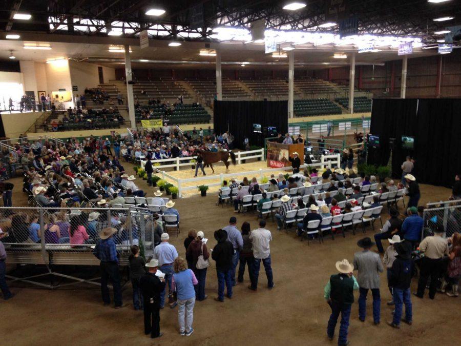 A view from above of the 10th Annual Legends of Ranching Performance Horse Sale held at the B.W. Pickett arena. Photo credit Dixie Crowe.