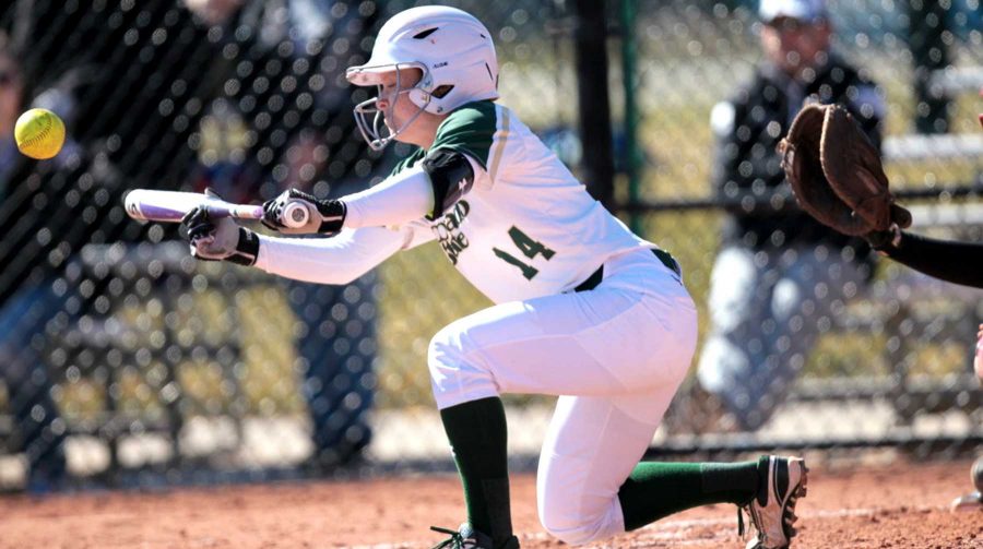 Sophomore infielder, Taryn Arcarese, lightly grips the bat in preparation to bunt the ball during the Rams win over Nebraska-Omaha Saturday, March 7. (Photo courtesy of Dan Byers/CSU Athletics)
