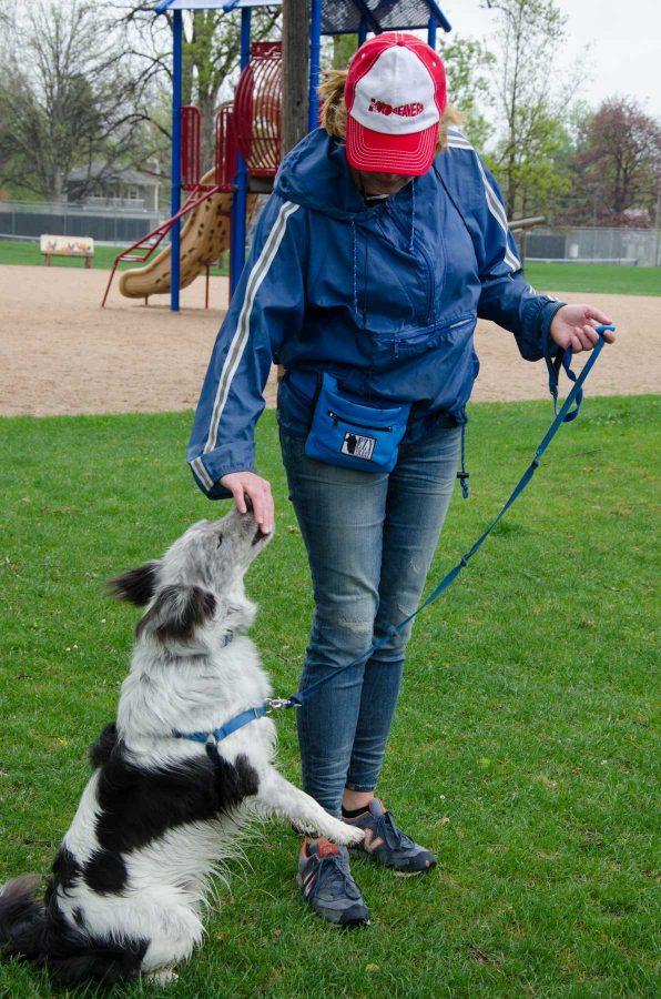 Heather Wilkinson, an editor at Selene River Press gives her 3-year-old Aussie Shepard mix named Critter a treat while out enoying a walk in City Park despite the rainy weather on Monday.