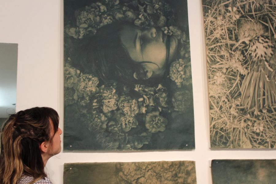 Center for Fine Art Photography opens three new exhibitions