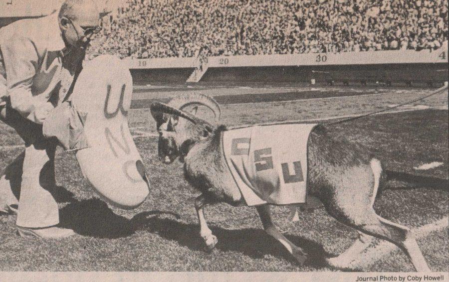1977. CSUs little-known second mascot, Sam the Ram, butts the head of a tackling dummy held by owner, Gerald Rice at Hughes Stadium.