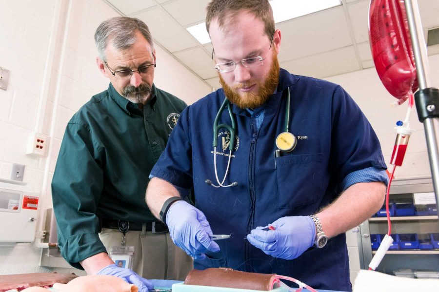Colorado State University veterinary student Paul Ryan and Clinical Sciences professor, equine surgeon and SurgiReal co-founder Dean Hendrickson look over a SurgiReal product, March 13, 2015. Hendrickson and CSU research scholar and DVM Fausto Bellezzo created a line of artificial tissues, some of which bleed, to better train veterinary students in surgery and suture techniques. (Photo courtesy of William A. Cotton)