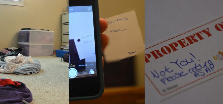 10 college roommates everyone has had