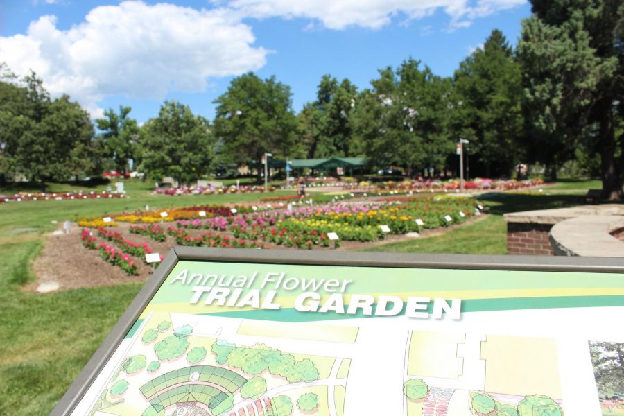 CSU trial gardens are in full bloom
