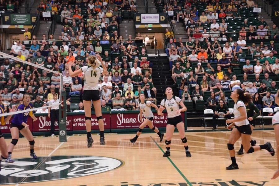 CSU swept UNI in three sets Saturday. (Photo by Megan Fischer)