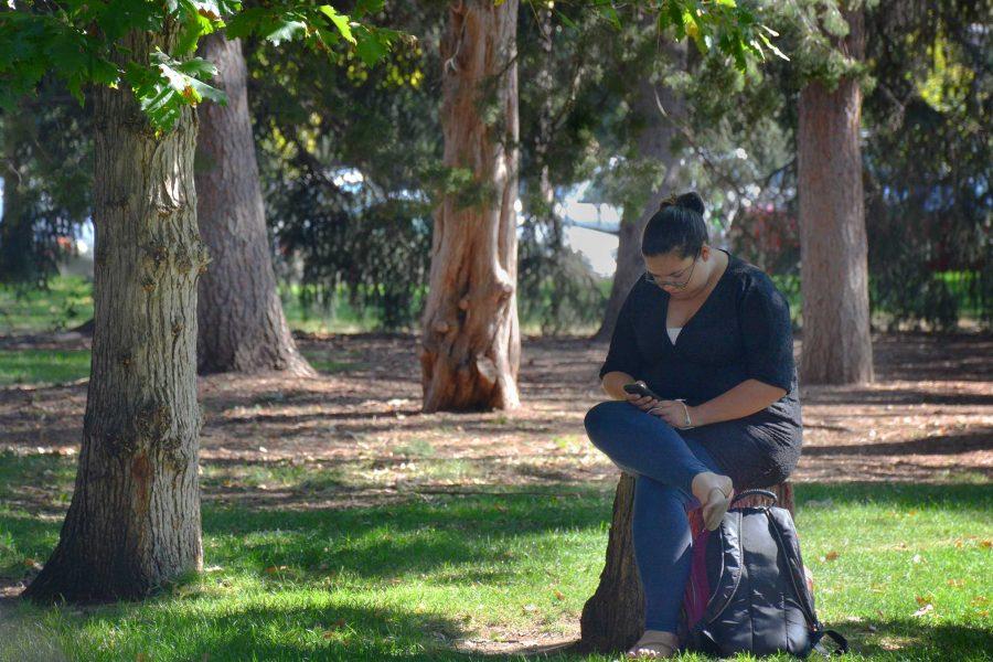 Zoology major, Octavia Cordova, relaxes on a stump in Sherwood Forest between classes on Wednesday morning.