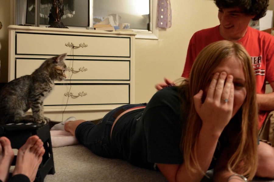 Seniors Jenna Hamilton and David Turchi take a break from studying to play with a 10-week-old kitten Sunday. Trying to convince the cat to pounce onto Hamiltion's back, Turchi waves a toy on the other side. (Photo Credit: Megan Fischer)