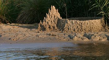 Finally, You Can Sleep in a Sandcastle