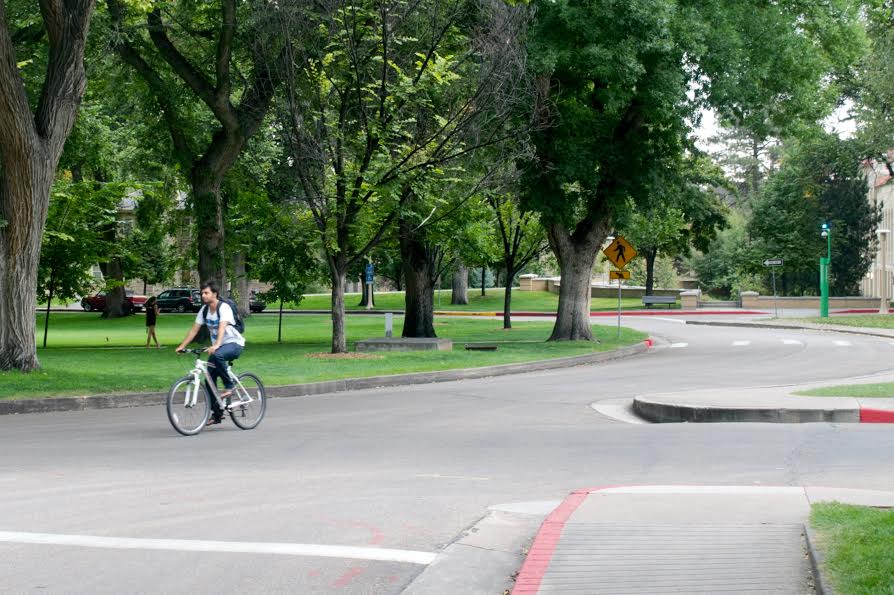 Someone biking the wrong way on the Oval. (Photo Credit: Julia Rentsch).