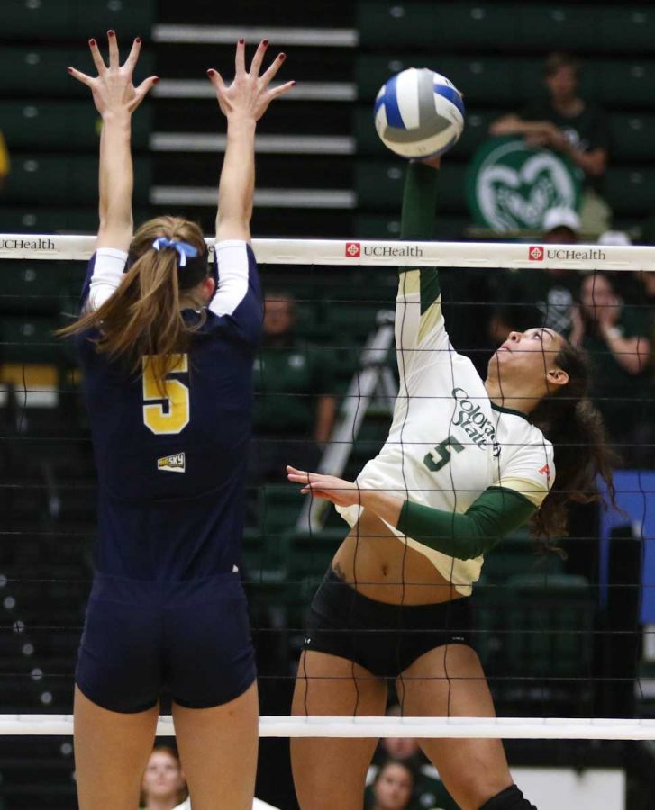 CSU hitter Alex Reid spikes a ball past a Northern Colorado defender. (Abbie Parr/Collegian)