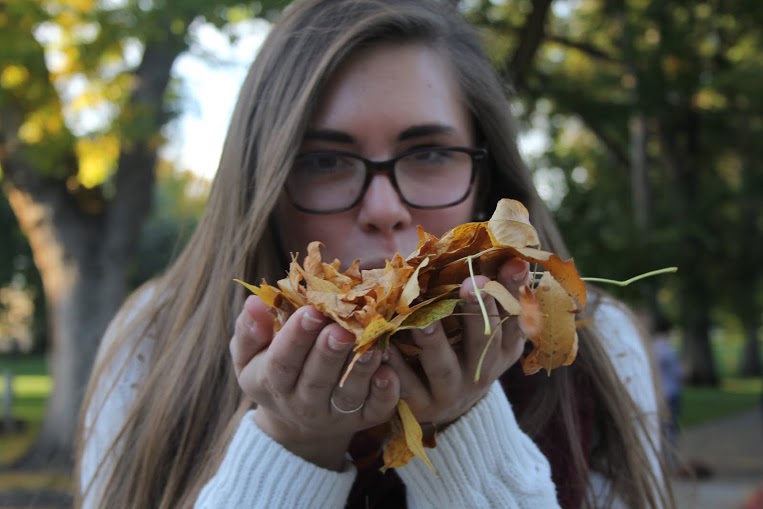 Our Fall Photo Diary: how we take autumn photos