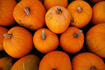 Pumpkins-2009