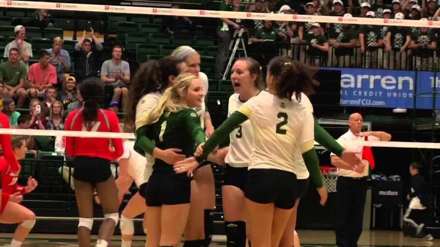 Colorado State Volleyball vs. New Mexico Highlights