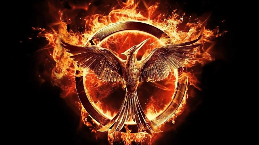 Film Review: 'Hunger Games: Mockingjay Part 2'