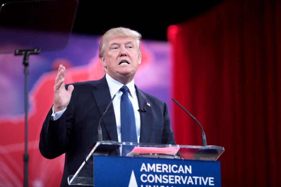 Seriously: Trump interns scour internet for something worse to say