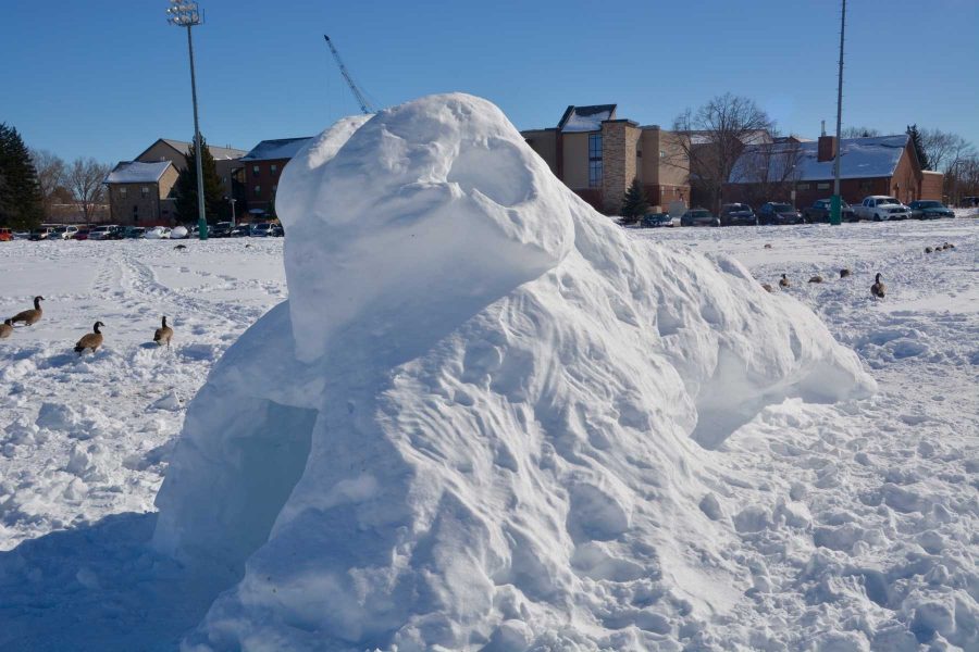 Students made a sculpture of CAM the Ram ,Colorado State Universitys mascot during after receiving a significant snowfall and a day off from school. (Photo Credit: Megan FIscher)