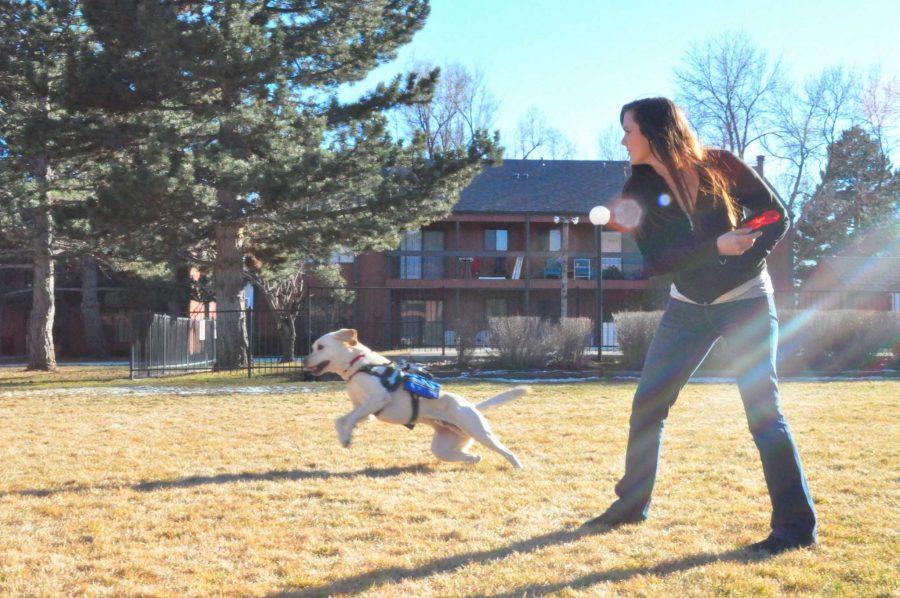 HDFS major, Christine Flahive, takes the time to play with her service dog, Marley. It is important for service pets to be off duty every once in a while to enjoy playing outside. Marley isn't allowed to be touched by other people because he can pick up on too many scents and it can prevent him from helping Christine with her seizures. (Bianca Torrez/Collegian)