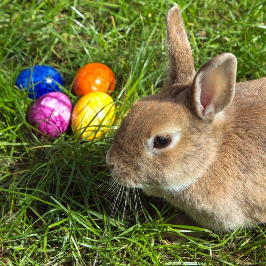 Where and how to celebrate this Easter weekend
