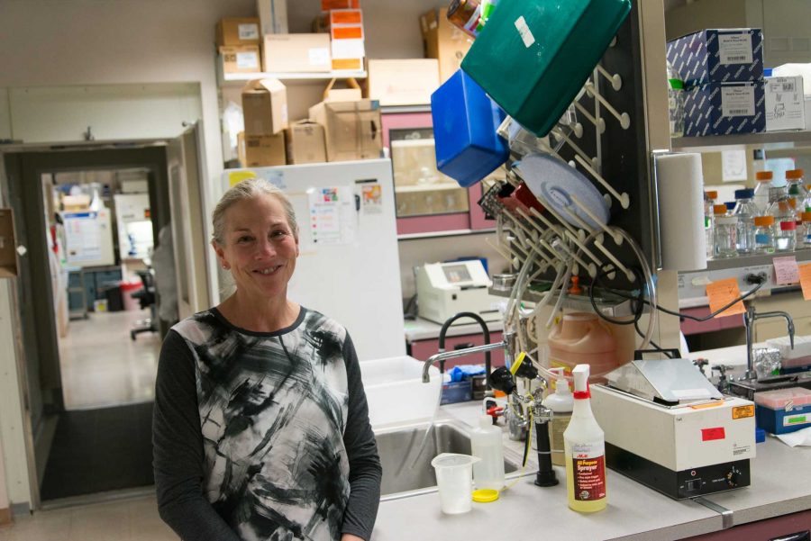 Dr. Susan Baileys in one of her laboratories. She is working the NASA Twin Study to see how aging changes from long periods in space (Luke Walker/ Collegian)