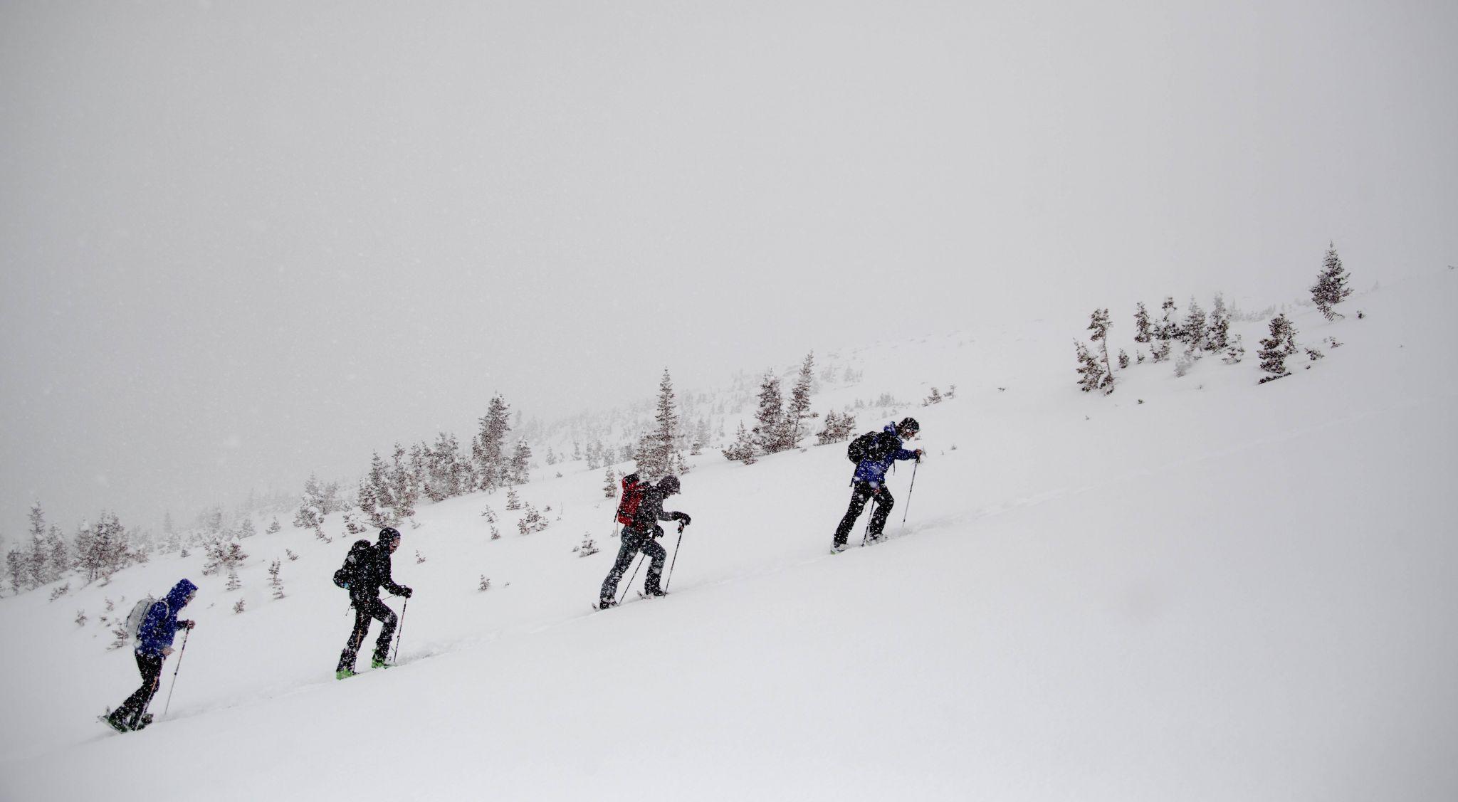 Skiers and boarders earning their turns on the upper slopes of Hidden Valley.  (Photo by: Nevin Fowler) 