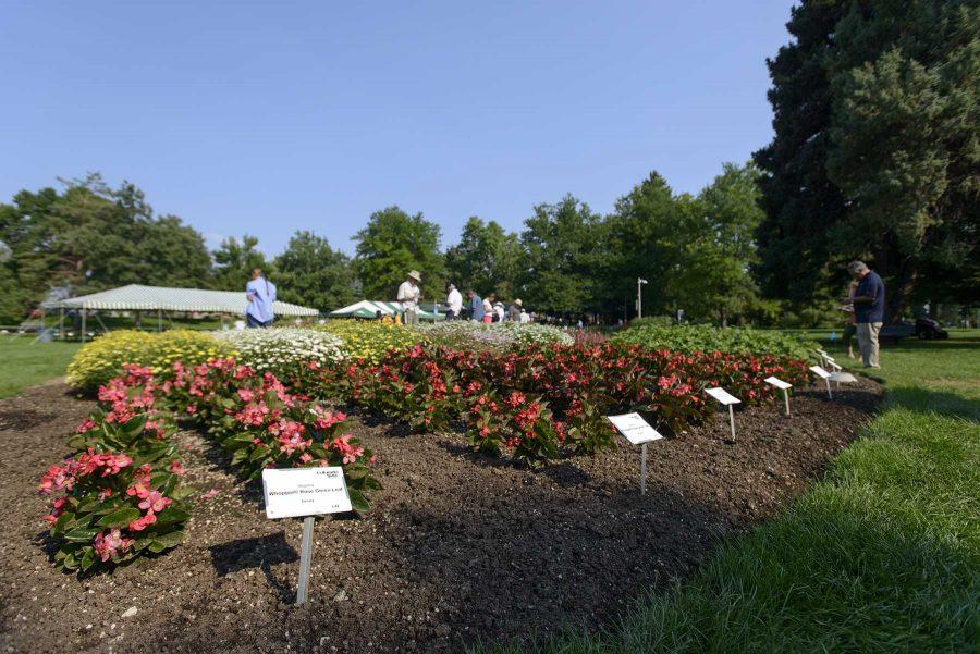 Flowers on display at the Colorado State University Trial Garden where flowers weve evaluated on August 2nd, 2016 (Luke Walker/ Collegian).