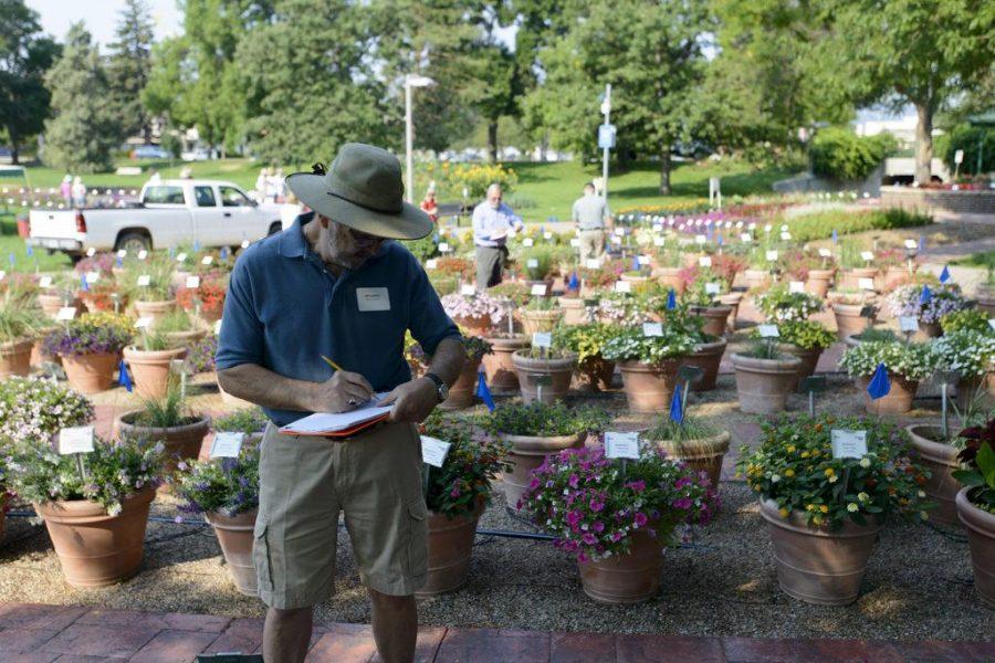 Jim Carroll, Master Gardener, takes notes during evaluation day at Colorado State University Trial Garden on August 2nd, 2016 (Luke Walker/ Collegian).