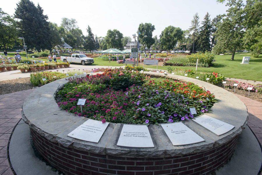 Flowers on display at the Colorado State University Trial Garden where flowers weve evaluated on August 2nd, 2016 (Luke Walker/ Collegian).