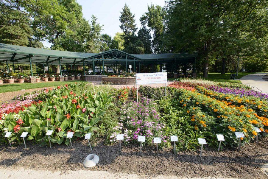 Flowers on display at the Colorado State University Trial Garden where flowers weve evaluated on August 2nd, 2016 (Luke Walker/ Collegian).
