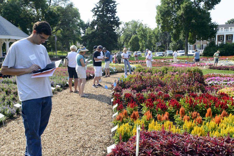 Jason Smith, Denver City Parks, takes notes during evaluation day at Colorado State University Trial Garden on August 2nd, 2016 (Luke Walker/ Collegian).