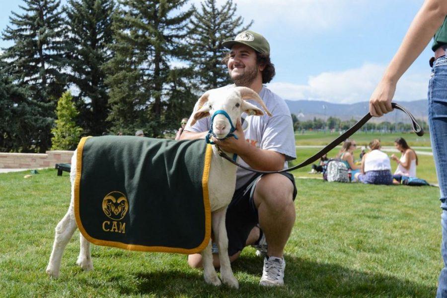 A student takes a photo with C.A.M. the Ram at the annual Grill the Buffs event in 2015. C.A.M. will be present at the event on Thursday. (Collegian file photo)