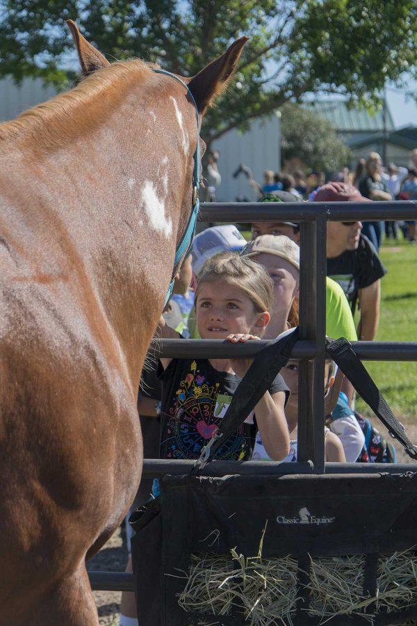 Poudre School District 3rd grader Aurora pets a horse during Ag Adventure at CSU ARDEC on September 28th, 2016 (Luke Walker | Collegian).