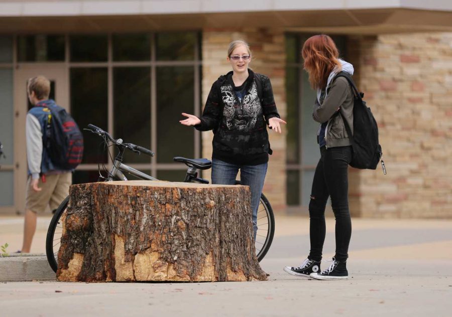 Colorado State University students Chandra Sidwell, left, and Jess Winer, right, talk while standing by the new stump in the plaza on Friday afternoon.(Forrest Czarnecki | Collegian)