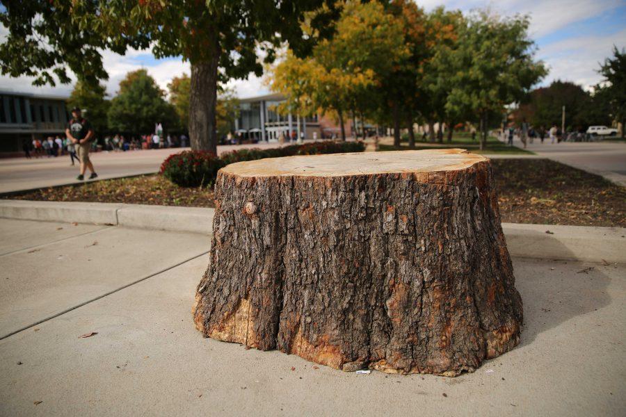 The new stump in the plaza is pictured on Friday afternoon. The stump in the plaza is a mainstay and it serves as a place for people to hang out and speak their mind. (Forrest Czarnecki | Collegian)