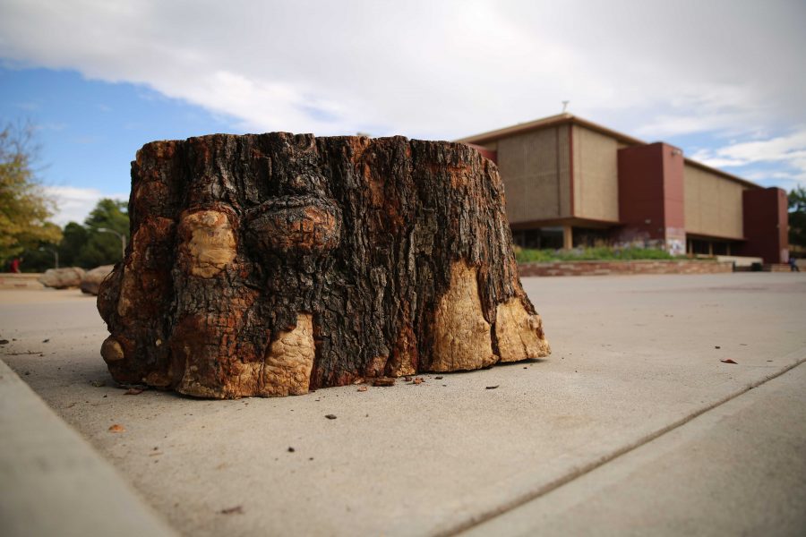 The new stump in the plaza is pictured on Friday afternoon. The stump in the plaza is a mainstay and it serves as a place for people to hang out and speak their mind. (Forrest Czarnecki | Collegian)