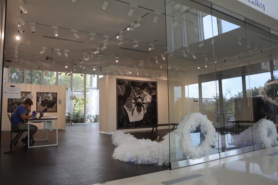 The Curfman Gallery displays Divergence of Art. Photo credit: Chapman Croskell