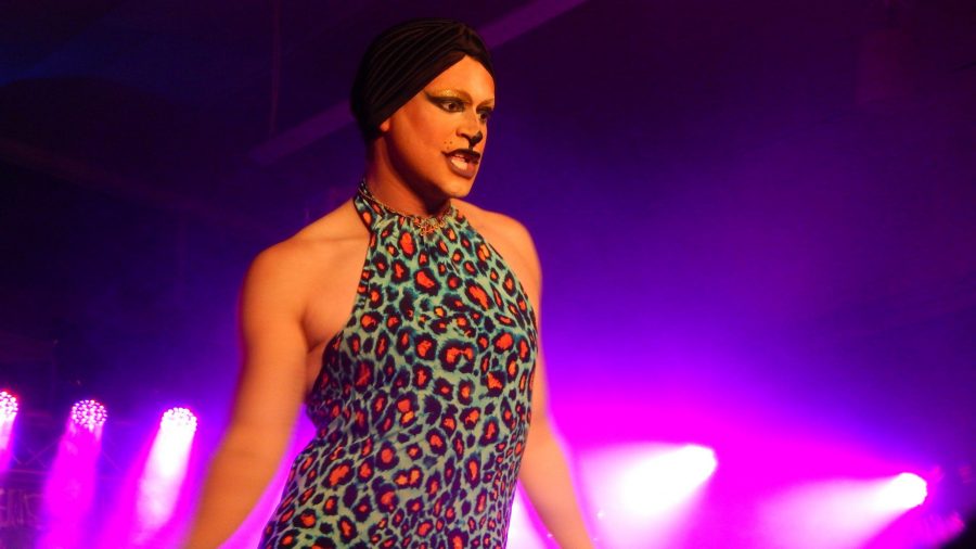 A performer at PRISMs Fairy Tale Drag Show (Haley Candelario | Collegian)